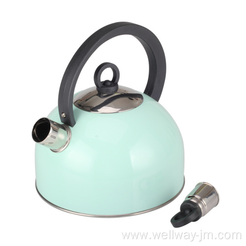 Stainless Steel Whistling Kettle with Handle in Green